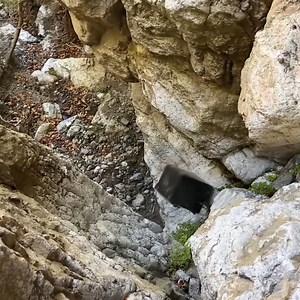 703K views · 8.3K reactions | A Legendary Treasure Hunt Is Live | GoldHunting | Facebook