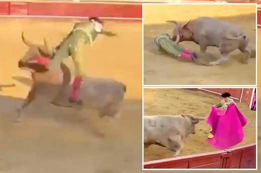 Matador caught in horrifying video being gored in rectum, tossed in air