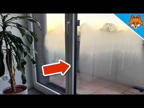 5 Things You MUST Do If Your Windows Are Fogged Up Or Wet🤯💥