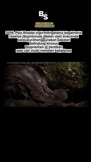 Eksperimen di telan anaconda #fakta #sejarah #viral #short #shorts