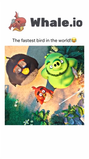 ʟᴏʀᴇɴ | Follow @onlymovieshub For more..... . . . . . . . #movies #viral #trending #viralmovies [🎬] The Angry Birds The Angry Birds Movie... | Instagram