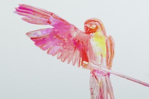 How to Create a Watercolor Effect in Affinity Photo - The Creative Hagja