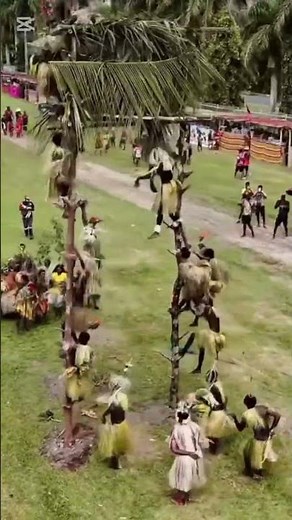 The Tree Dance of Central Nakanai | Papua New Guinea Culture & Legend#LivingPNG
