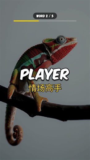 Confident还是Player？这几个英语词你必须会