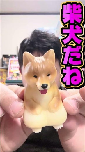 February 4th week (26) Latest Capsule Toy Patrol #Wacky Shell Mountain #Capsule Toy #Gachapon #Na...