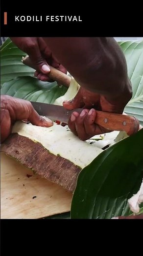 Making of Traditional Tapa Cloth demonstration.