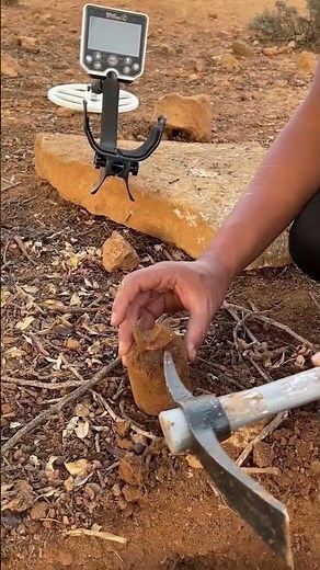 Golden & Silver Coins Found with Metal Detector : Gold Stinger X5