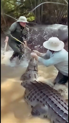 Fishing turned deadly: crocodile & hippo attack