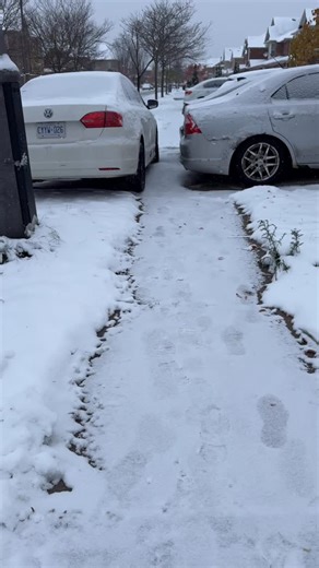 Mike Dancy on Instagram: "Brampton parking #brampton #parking #bylaw"