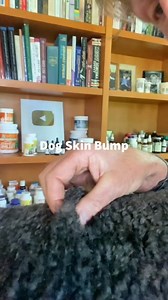 How to treat your dog’s Sebaceous Cyst with Home Remedies #cyst #sebaceouscyst #dmso #doglump #dogcyst | Daily Pet Tips