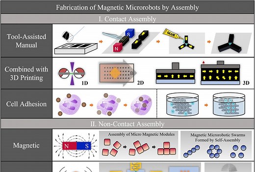 Fabrication Of Magnetic Microrobots By Assembly. Microrobot Swarms And Possible Mechanisms Of Shedding To The Unvaccinated