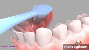 Brushing with Manual Toothbrush - Bass Technique on Make a GIF