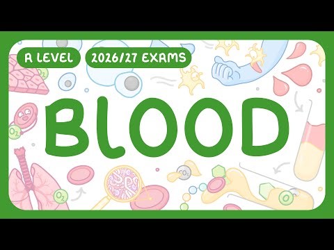 A-Level Biology - Blood - Red & White Blood Cells | Platelets | Plasma (2026/27 exams)