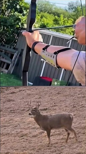 “Perfect Bow Shot on a Whitetail Deer | Silent & Deadly Archery Hunt”