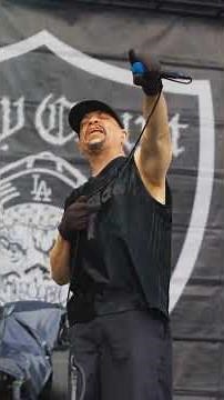The Incredible Evolution of Ice-T