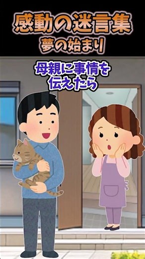 散歩してたら突然、目の前の少年に猫が落ちてきたんだが... 【創作】