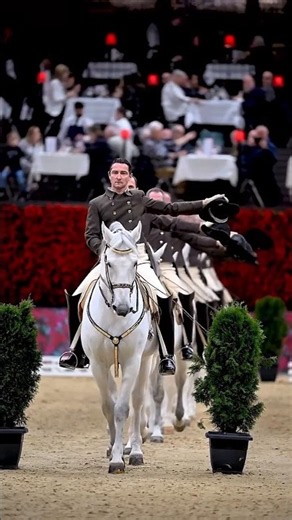 Unbelievable Horse Riding Skills You Need to See! 🐎😱 #Shorts