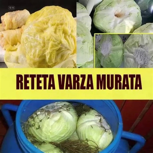 Cum se pune varza la murat, ca sa-ti iasa perfecta pentru sarmale si salata. Ca să nu ne lungim prea mult aici, ți-am lăsat în comentarii articolul cu rețeta pas cu pas. | Familia Gospodinelor