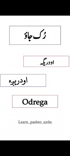 پشتو اردو زبان سیکھنے کے طریقے