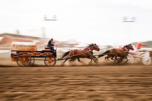 Calgary Stampede 3 Night Thrill Package | Discover North America