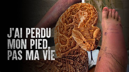 Les 5 morsures de serpent les plus dangereuses