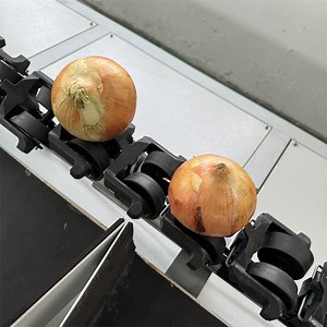 [Hot Item] Computer Fruit Nondestructive Grader Electronic Intelligent Weighing Sorter Orange Apple Weight Grader