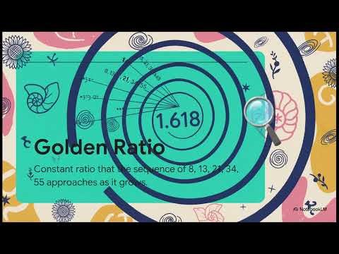 Fibonacci's Numbers: Connecting Nature and People