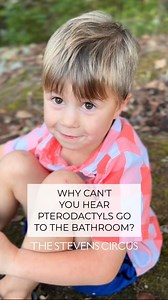 This joke makes my heart SAUR! 🦕 #pterodactyl #dinosaur #dadjokes #preschooljokes #silly #kidsarefunny #sopunny #familyfun #jokes #jokeoftheday | The Stevens Circus