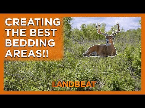 Create The PERFECT Bedding Area For Deer!