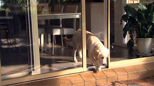 Pet Sliding Doors/ – Autoslide