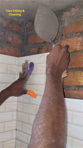 I worked with new design 8x12 ceramic wall tiles on the toilet wall.#walltiles #toilettilefitting