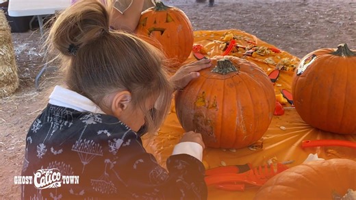 371 reactions · 72 shares | Howdy Folks! We are getting ready for...