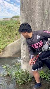 Unhook fish | KaFuji Master