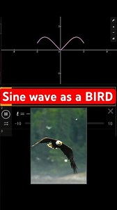 A Sine Function Can Make a Bird Fly 🐦📈#mathshorts