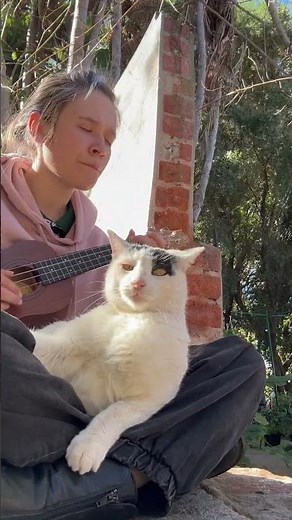 Far Away Boy - Original