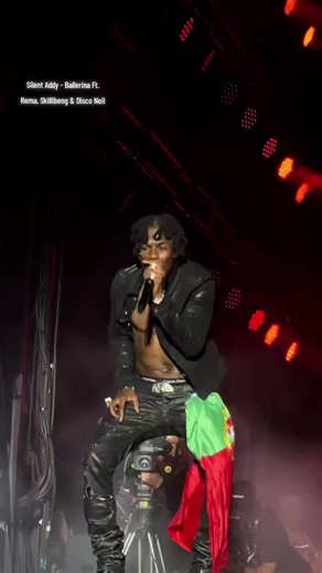 Ballerina: The Art of Dance and Expression