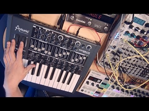 Arturia MiniBrute Analog Synth Demo