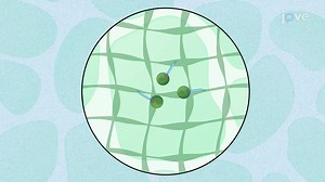 Expansion Pathology: A Method for High-resolution Optical Imaging of Clinical Tissue Samples
