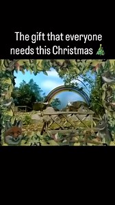 🌲 😂 #thefastshow #christmas | The Fast Show