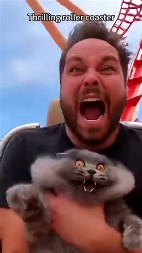 Funny roller coaster reactions#funny #scream #rollercoaster #themepark #playground #fyp #tiktok #foryou #foryoupage