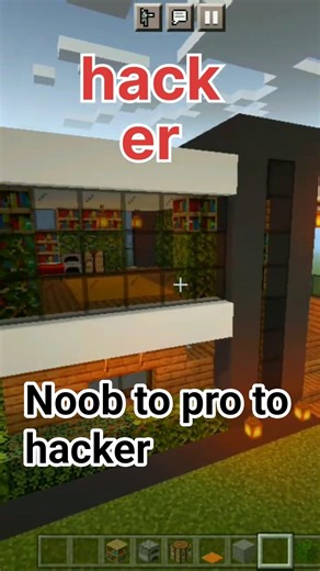 MINECRAFT NOOB - PRO - HACKER