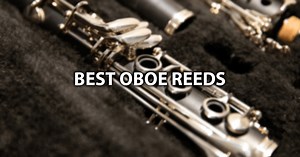 Best Oboe Reeds of 2025 - Top 5 Oboe Reeds For Beginners