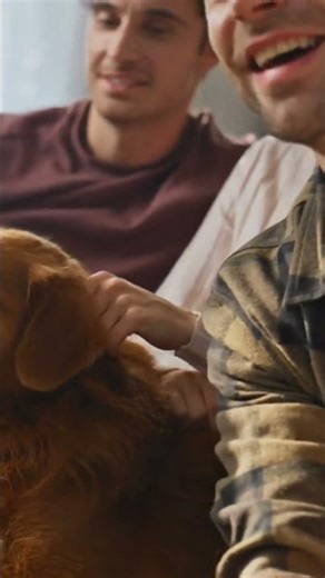Building Supportive Networks for Dog Owners