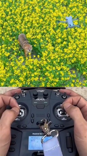 Drone Prank In Village Funny 🤣 || Drone Prank Gone Wrong 🤣 || #shorts #drone #prank #funny