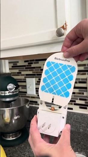 Best Fruit Fly & Gnat Traps: Indoor UV Light Bug Killer Review