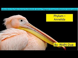 Phylum Annelida Video Lecture | Crash Course for CSIR NET Life Sciences