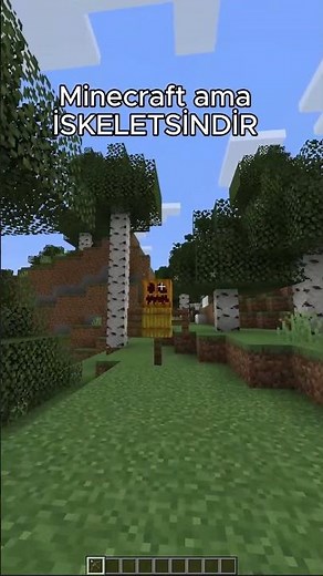 minecraft ama iskeletsindir