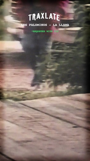 Los Palominos | La Llama (English Translation) - Lyrics & Meaning
