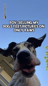 13K views · 269 reactions | Mom's making me sell paw pictures on...