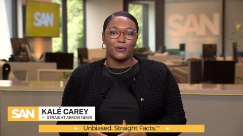 Florida deploys robotic rabbits to remove invasive pythons from Everglades